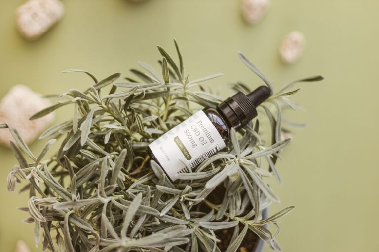 oléo de canabidiol